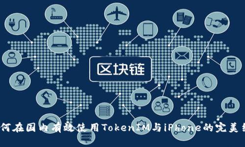  如何在国内有效使用TokenIM与iPhone的完美结合