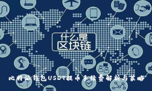 比特派钱包USDT提币手续费解析与策略