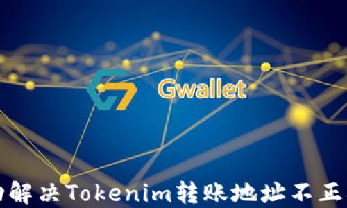 
如何成功解决Tokenim转账地址不正确的问题