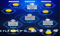 深入解析TokenIMtrx：能量与