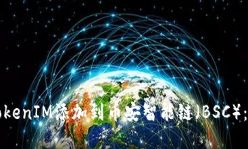 如何将TokenIM添加到币安智能链（BSC）：完整指南
