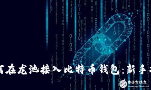 如何在龙池接入比特币钱包：新手指南
