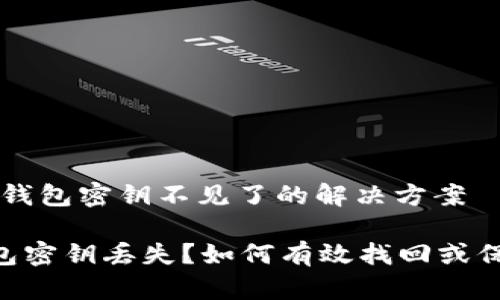 # Tokenim钱包密钥不见了的解决方案

Tokenim钱包密钥丢失？如何有效找回或保障资产安全