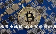 探秘比特币地址：大小写