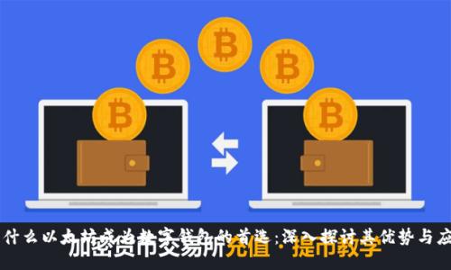 为什么以太坊成为数字钱包的首选：深入探讨其优势与应用