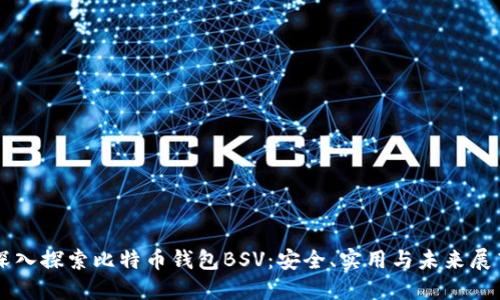 深入探索比特币钱包BSV：安全、实用与未来展望