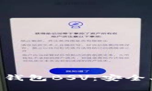 深入探索比特币钱包BSV：安全、实用与未来展望