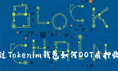 通过Tokenim钱包如何DOT质押收益