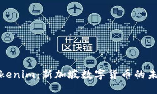探索Tokenim：新加坡数字货币的未来之路