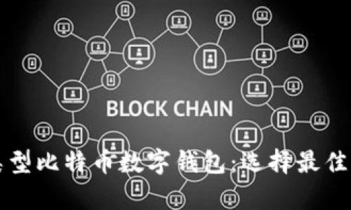 全面比较不同类型比特币数字钱包：选择最佳存储方式的指南