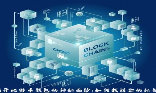 
揭开比特币钱包的神秘面纱：如何找到你的私钥？