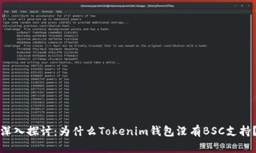 深入探讨：为什么Tokenim钱包没有BSC支持？