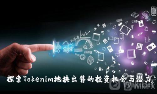 探索Tokenim地块出售的投资机会与潜力