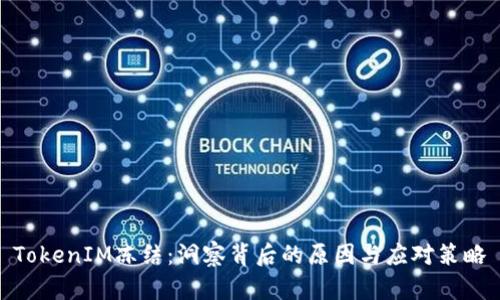 TokenIM冻结：洞察背后的原因与应对策略