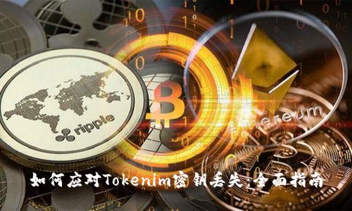 如何应对Tokenim密钥丢失：全面指南